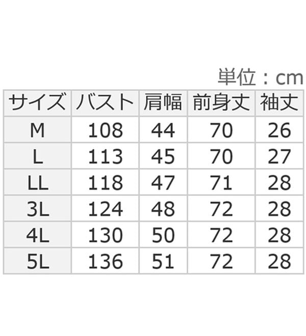 ルフラン（ルフラン）の「【ＰＯＬＯ　ＢＣＳ】刺しゅうプリント綿１００％Ｔシャツ（カットソー）」｜詳細画像