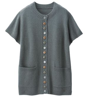 ルフラン（ルフラン）の「ウール１００％ニットベスト（ベスト）」｜グレー