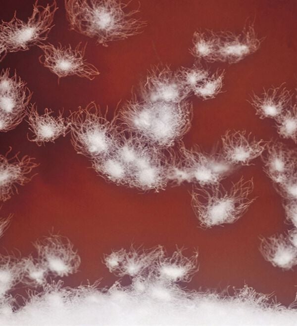 「＜コムルヴァン・オム＞洗えるフレンチダウン切替ジャケット（メンズダウンジャケット）」｜詳細画像