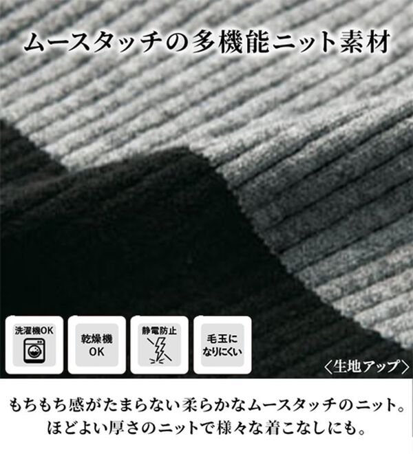 RANAN（ラナン）の「＜ムースタッチ＞洗える！バイカラータートルリブニット（ニット・セーター）」｜詳細画像