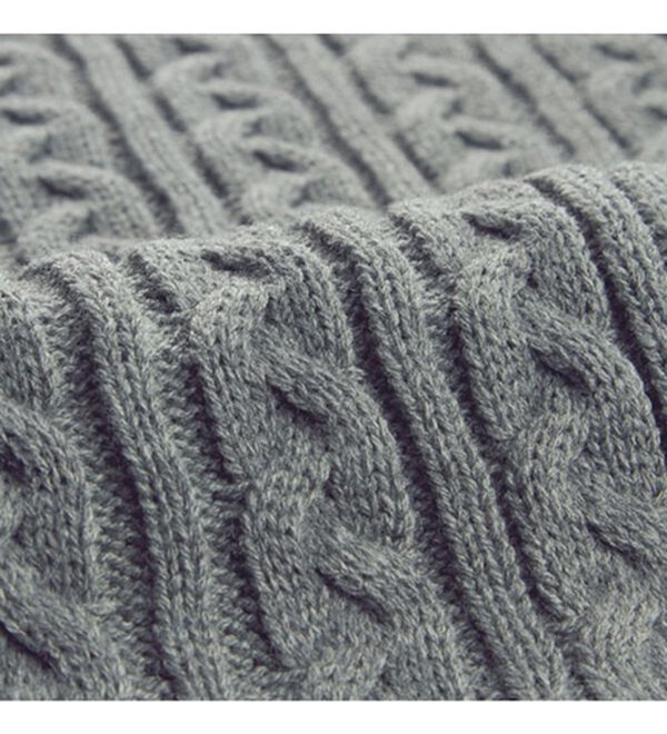 BELLUNA（ベルーナ）の「ケーブルニット使いプルオーバー（カットソー）」｜詳細画像