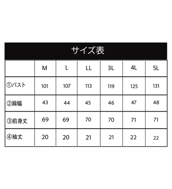 BELLUNA（ベルーナ）の「綿１００％プリントＴシャツ（Tシャツ）」｜詳細画像