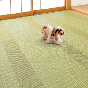 「洗える日本製い草風上敷（カーペット）」｜1