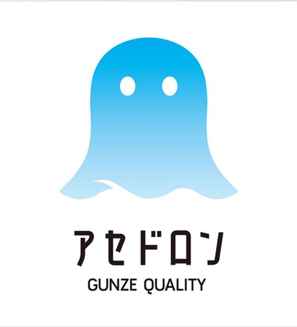 「【３足組】＜グンゼ＞スパッとシューズ対応ソックス（靴下・ストッキング）」｜詳細画像