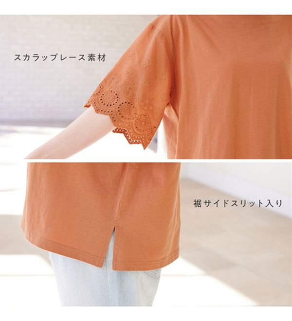 Viola e Viola（ヴィオラ エ ヴィオラ）の「綿１００％ 袖レース切替Ｔシャツ（Tシャツ）」｜詳細画像