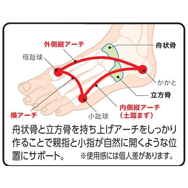 「極薄アーチ外反母趾対策サポーター１足組（フェイスケア・ボディケア）」｜詳細画像