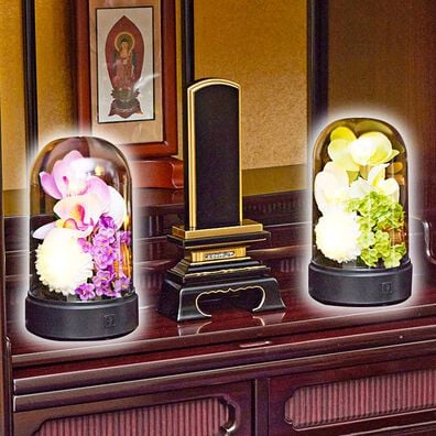 「光る胡蝶蘭ドーム（照明・ライト）」