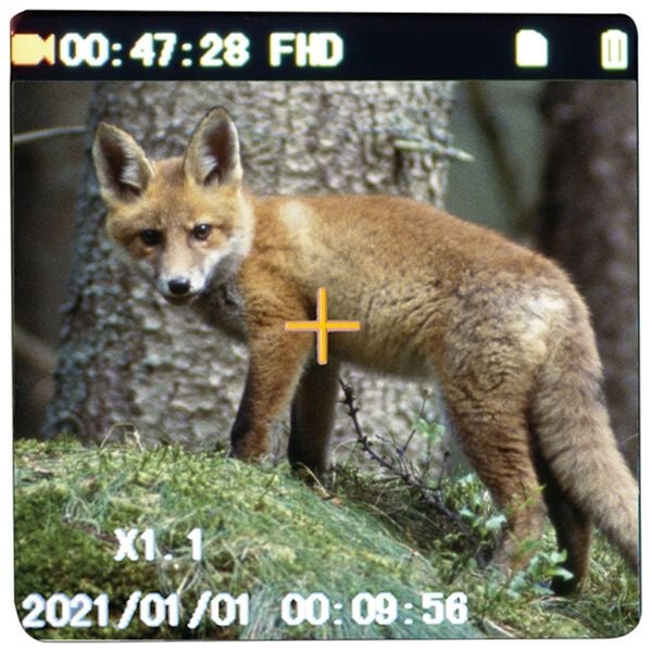 「赤外線暗視ハンディカメラ（テレビ・オーディオ・カメラ機器）」｜詳細画像