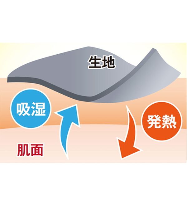 BELLUNA（ベルーナ）の「吸湿発熱ハイネックプルオーバー（カットソー）」｜詳細画像