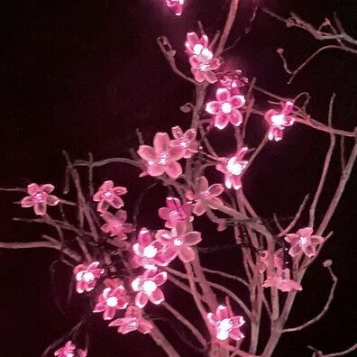 「イルミネーション夜桜（照明・ライト）」