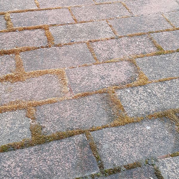 「業務用ガチ落ちコケ・カビ取り２本組（その他日用品）」｜詳細画像