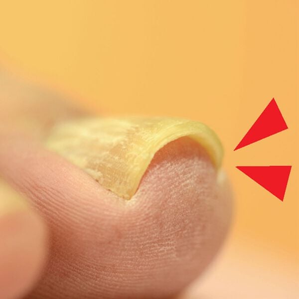 「大きく開いて握りやすいニッパー爪切り（その他美容・健康機器）」｜詳細画像