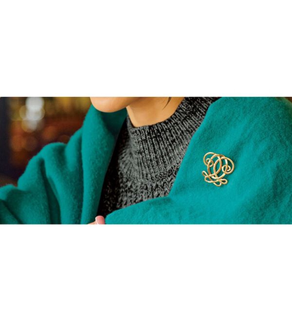 BELLUNA（ベルーナ）の「ブローチ付ミックス調ニットプルオーバー（ニット・セーター）」｜詳細画像