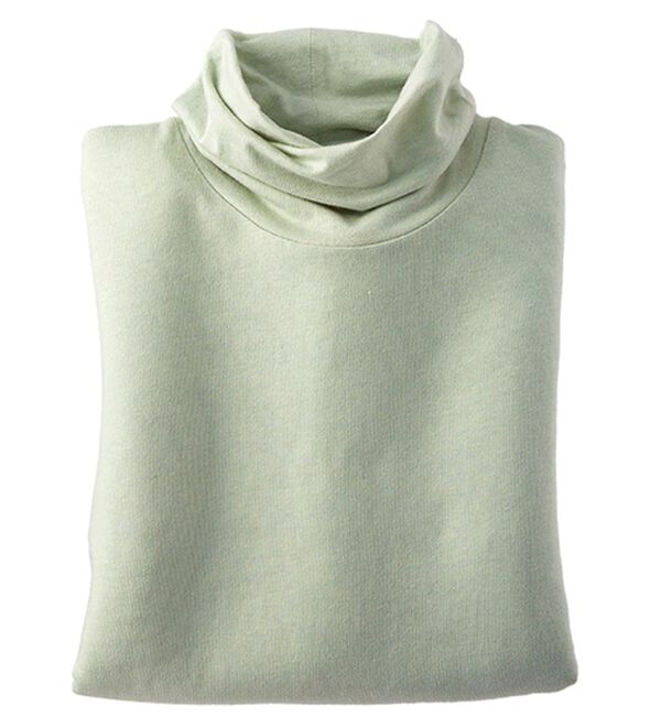 BELLUNA（ベルーナ）の「テンセル（ＴＭ）繊維・コットンプリントプルオーバー（カットソー）」｜セージ