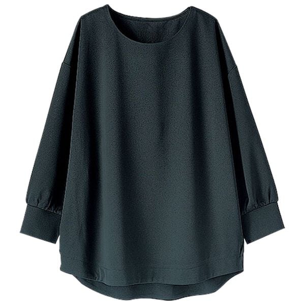 BELLUNA（ベルーナ）の「ストレッチ素材シンプルブラウス（ブラウス）」｜黒