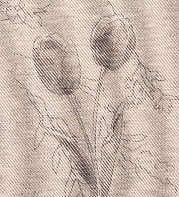 BELLUNA（ベルーナ）の「【快適Ｌａｂ．】イージーケア！袖タックスキッパーブラウス（ブラウス）」｜詳細画像