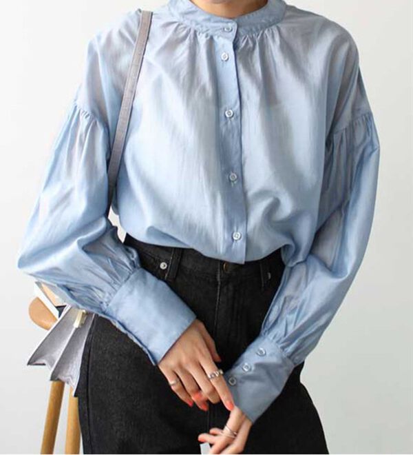 GeeRA（ジーラ）の「シアー素材ボリュームスリーブブラウス（ブラウス）」｜詳細画像