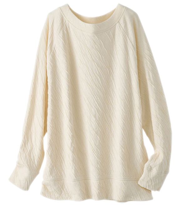 BELLUNA（ベルーナ）の「綿１００％柔らか接結プルオーバー（カットソー）」｜オートミール