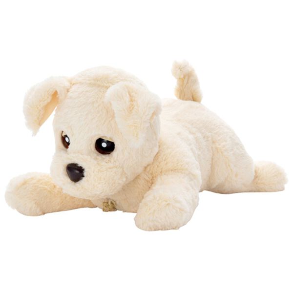 「ヒーリングパートナー　もっとおりこうダッキー（ホビー・アート・ＤＶＤ）」｜バニラ