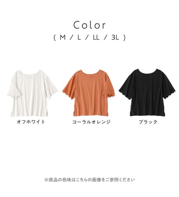 Viola e Viola（ヴィオラ エ ヴィオラ）の「綿１００％ 袖レース切替Ｔシャツ（Tシャツ）」｜詳細画像