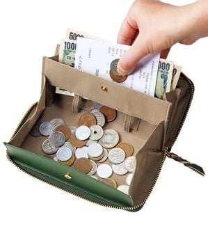 BELLUNA（ベルーナ）の「縦型カード入れの牛革コインスルー長財布（財布・パスケース）」｜詳細画像