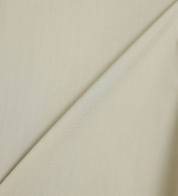 BELLUNA（ベルーナ）の「＜ＳＯＬＯＴＥＸ（Ｒ）＞ストレッチビッグシャツ（シャツ）」｜詳細画像