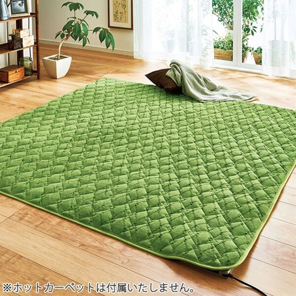 「５つ星機能のあったかぬくぬく贅沢カーペット（カーペット）」｜詳細画像