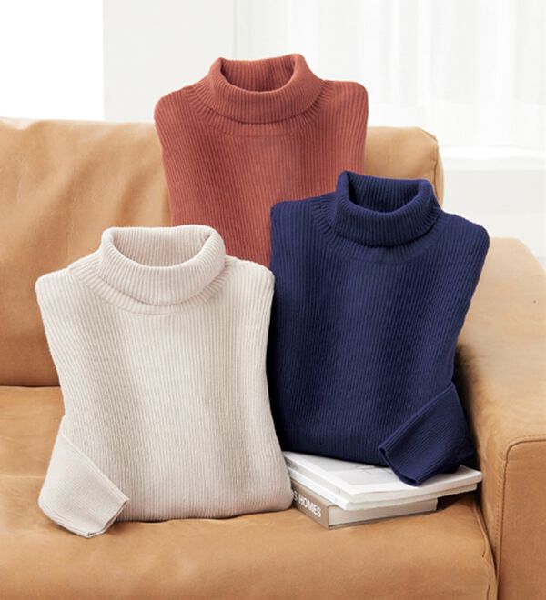 BELLUNA（ベルーナ）の「【安心感あるプチプラニット】リブニットタートルネックプルオーバー（ニット・セーター）」｜詳細画像