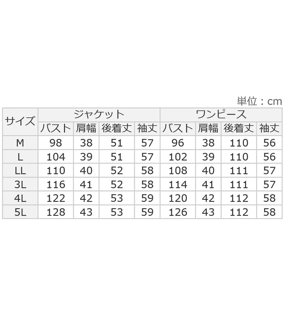 【２点セット】選べる！華やかワンピースアンサンブルスーツ
